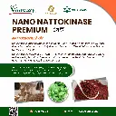NATTOKINASE 3.webp