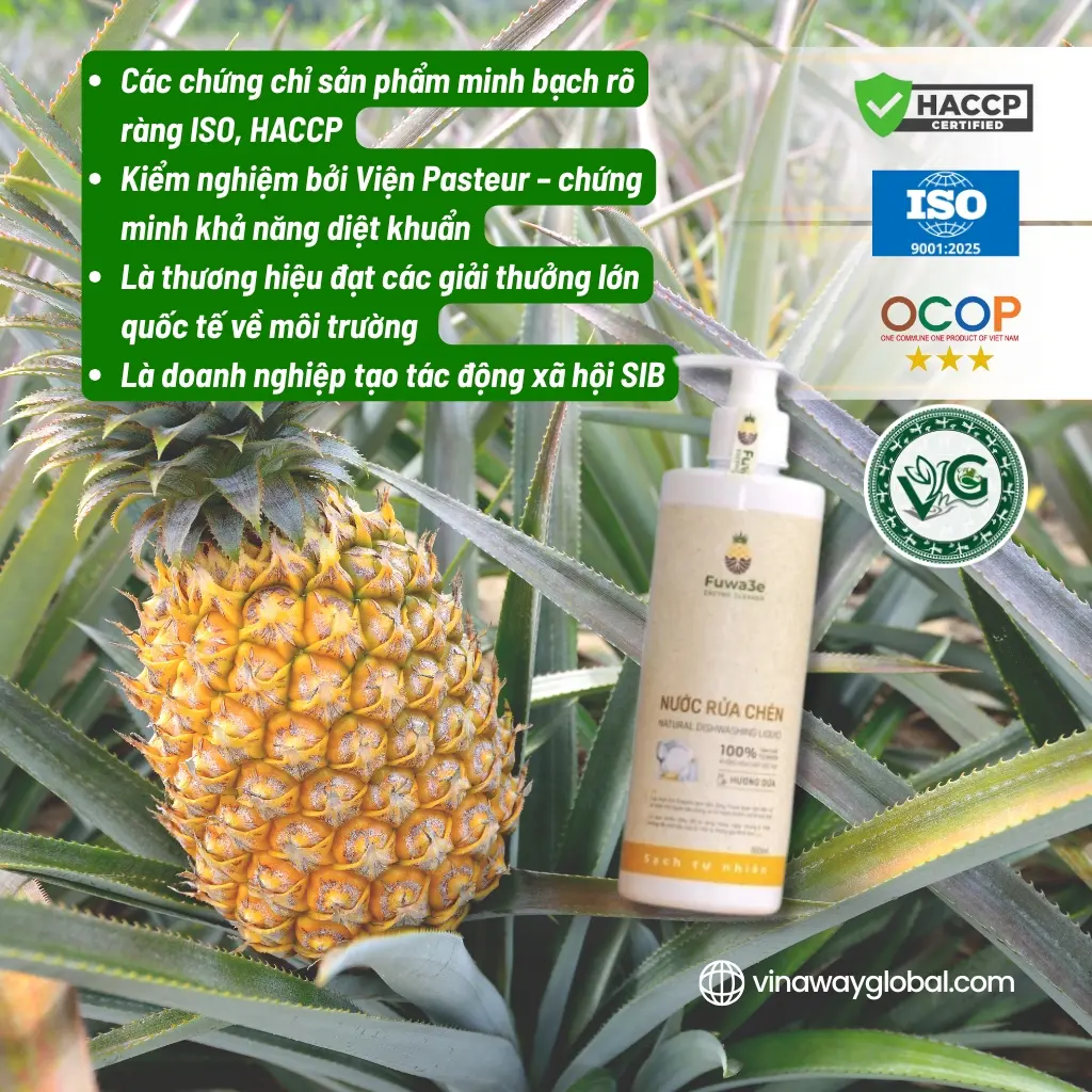 RỬA CHÉN 4.webp