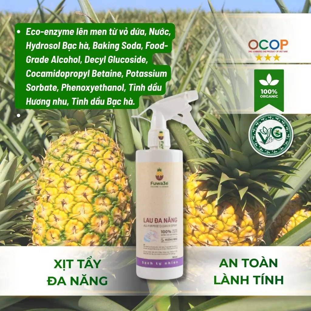 LAU ĐA NĂNG 2.webp