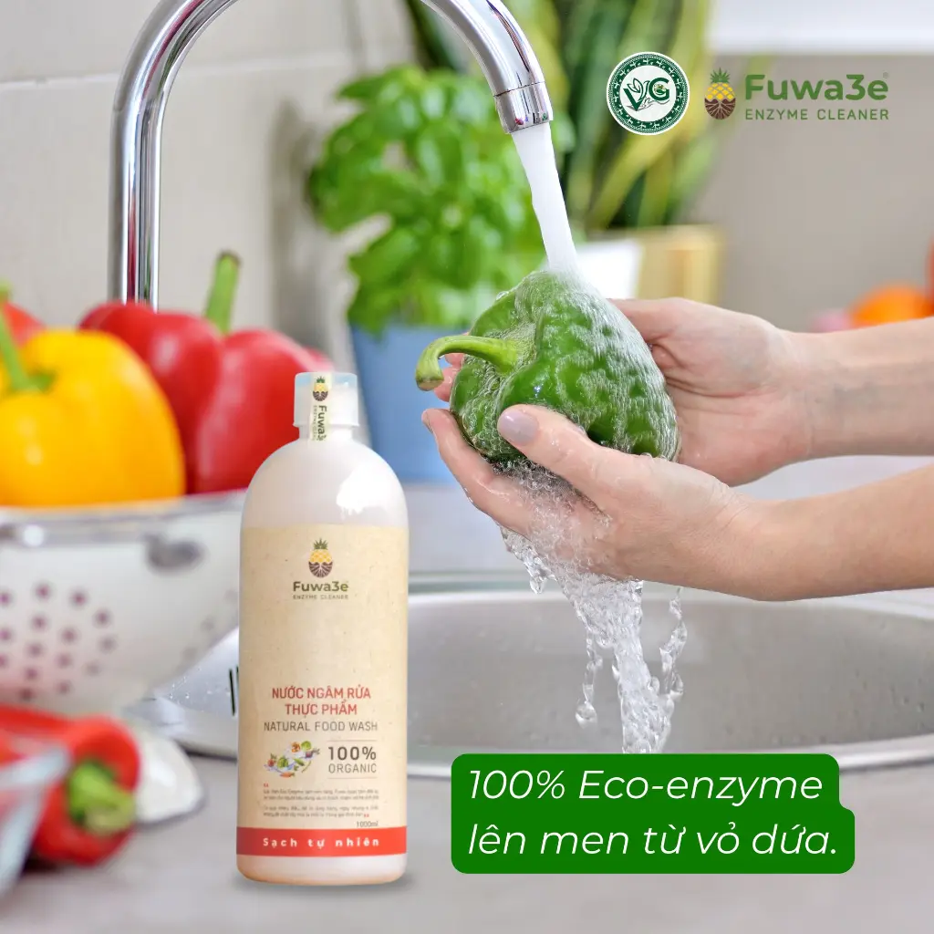 NGÂM RỬA TP FUWA3E.jpg2.webp