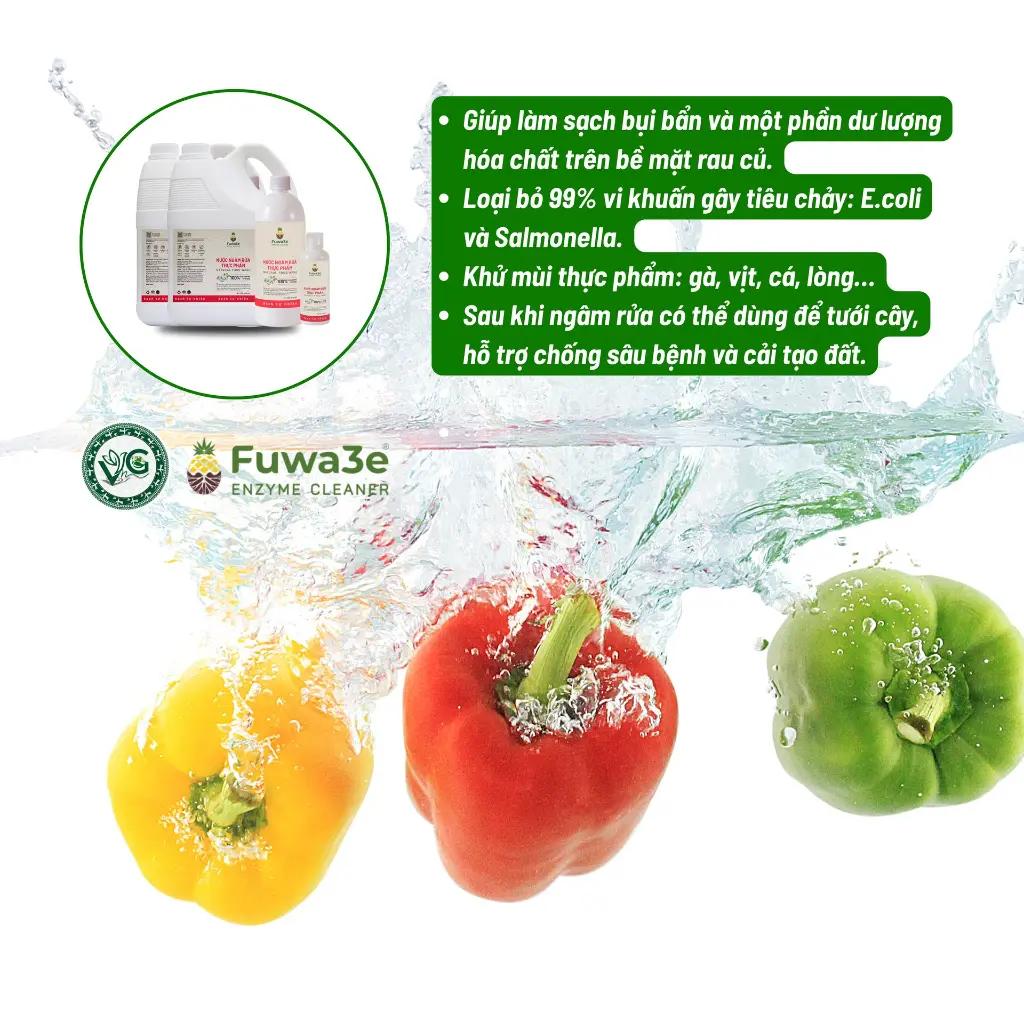 NGÂM RỬA TP FUWA3E.jpg1.webp