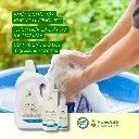 NƯỚC GIẶT FUWA3E (5).webp